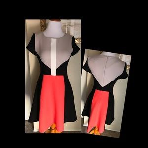Sandra Darren Color Block Dress
